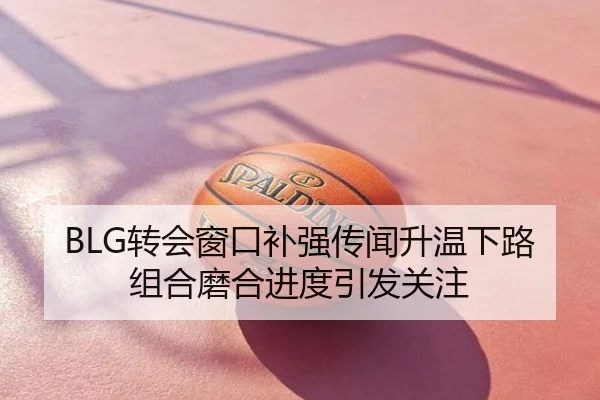 BLG转会窗口补强传闻升温下路组合磨合进度引发关注
