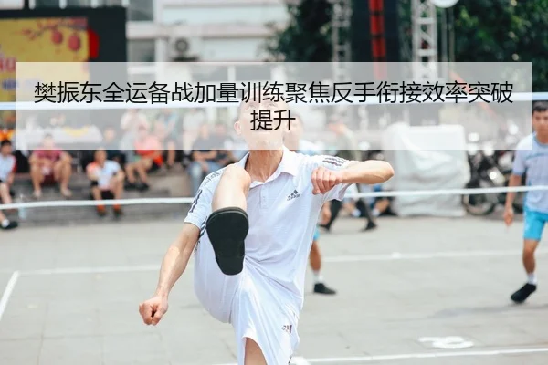 樊振东全运备战加量训练聚焦反手衔接效率突破提升